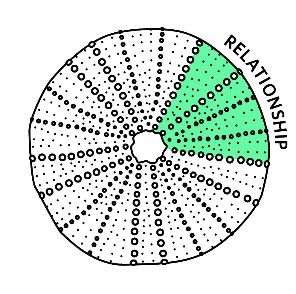 The 5Rs Model - Learning Design & Digital Innovation